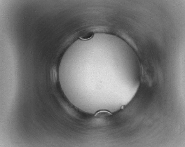 X0000114240061200910091517