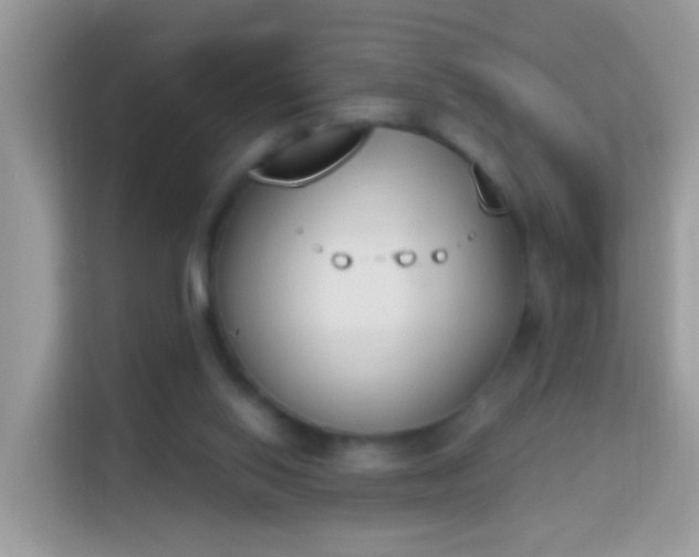 X0000114240062200910091517