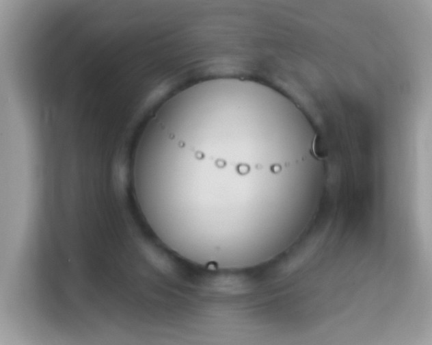 X0000114240063200910091517