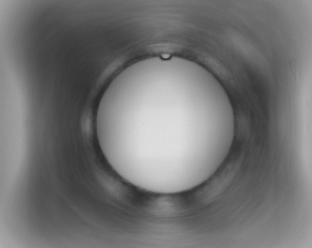 X0000114240064200910091517