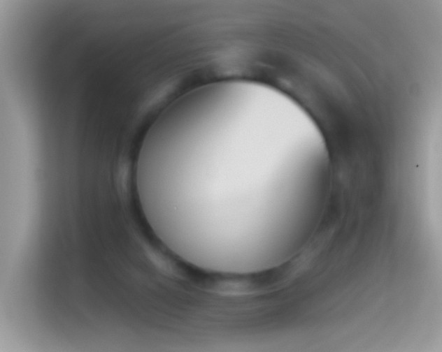 X0000114240066200910091517