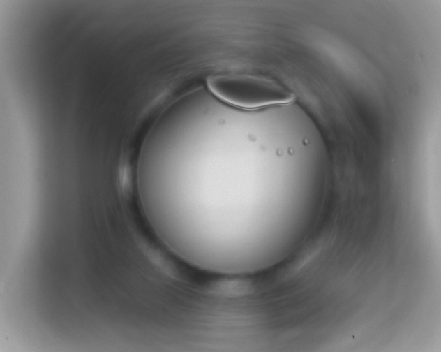 X0000114240067200910091517