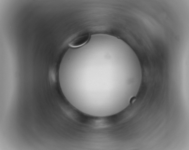 X0000114240068200910091517
