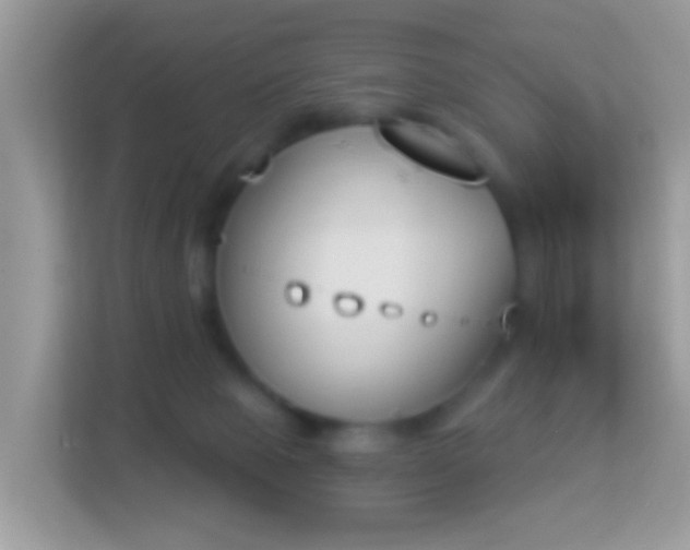 X0000114240077200910091517