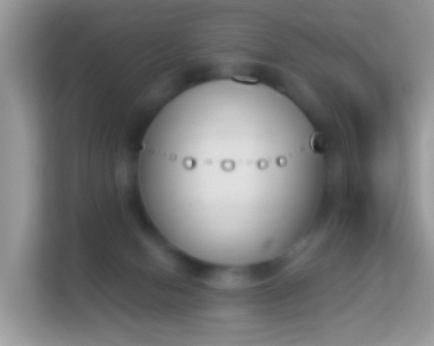 X0000114240078200910091517