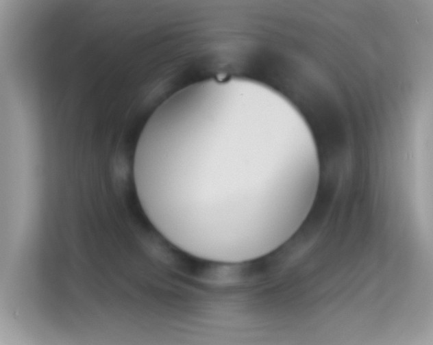 X0000114240084200910091517