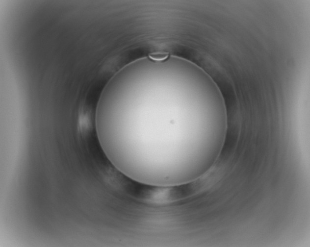 X0000114240090200910091517