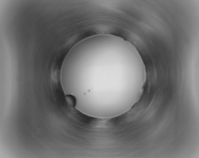 X0000114240093200910091517