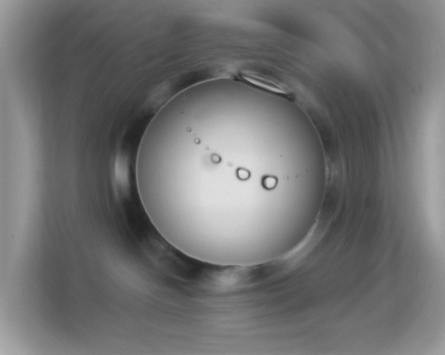 X0000114240094200910091517