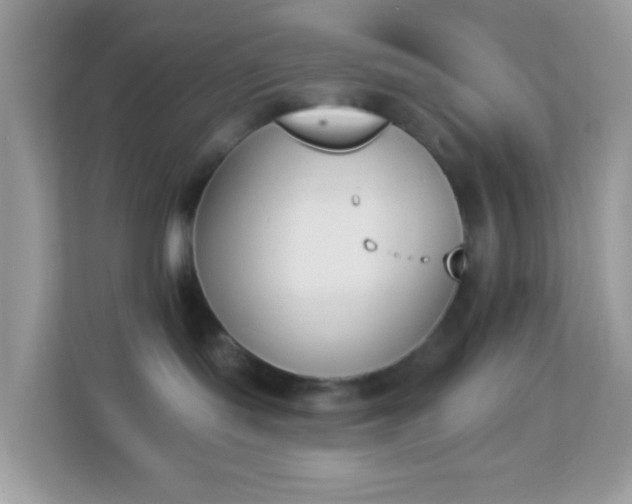 X0000114240095200910091517