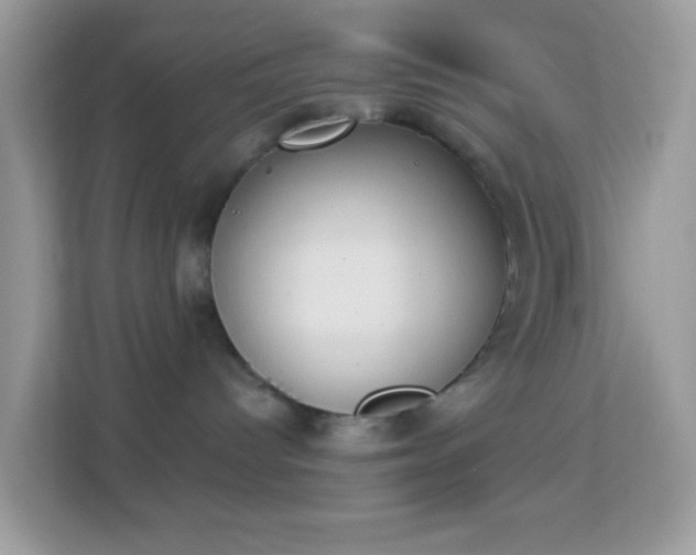 X0000114240096200910091517