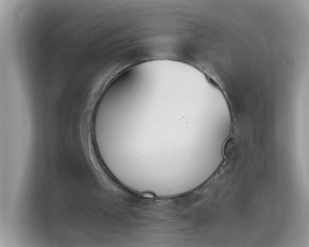 X0000114240097200910091517