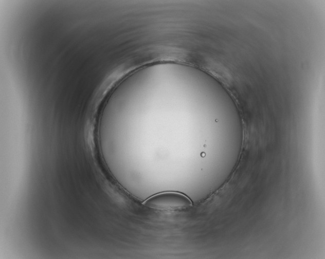X0000114240098200910091517