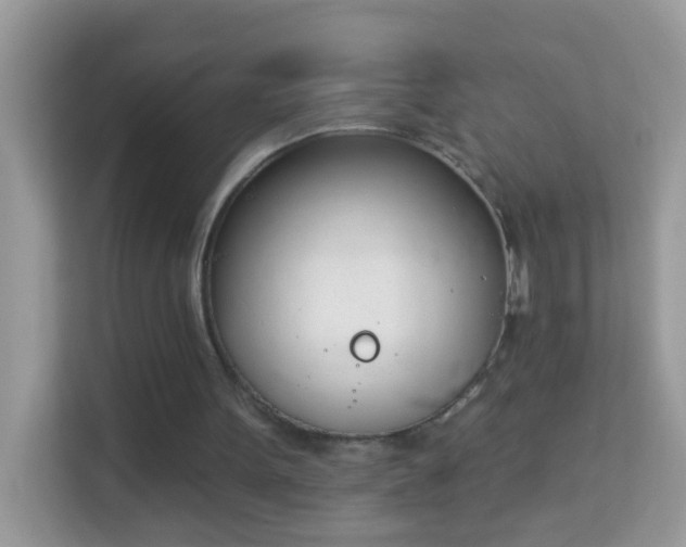 X0000114240099200910091517