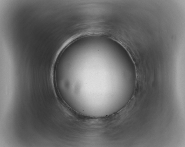 X0000114240100200910091517