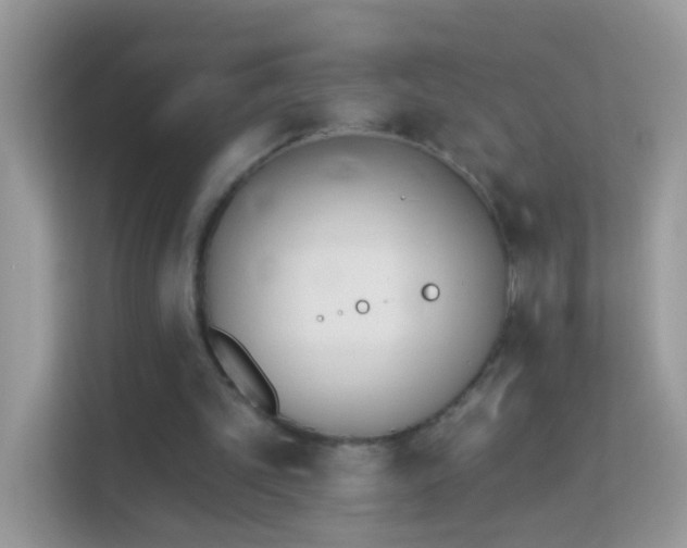 X0000114240101200910091517