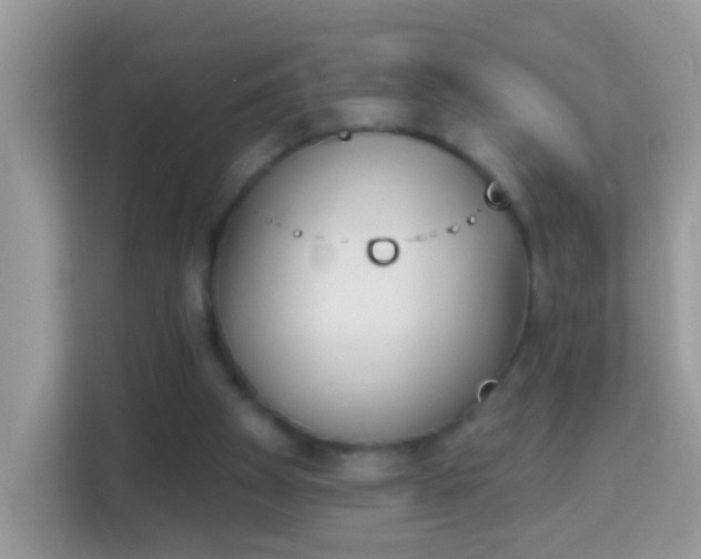 X0000114240105200910091516
