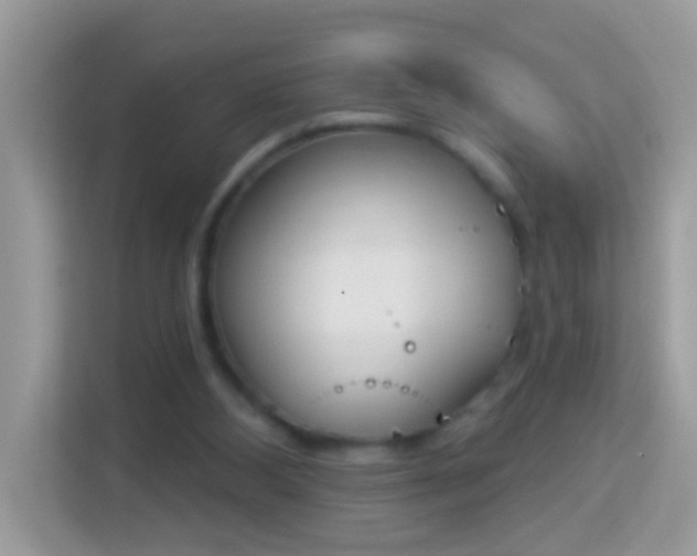 X0000114240108200910091516