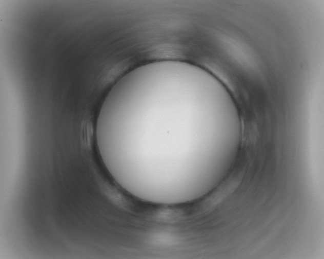 X0000114240109200910091516