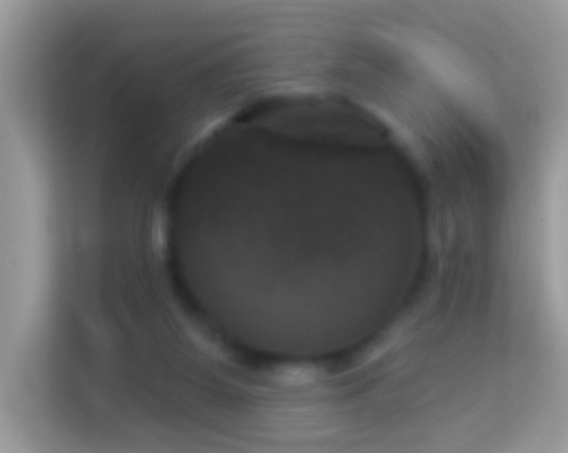 X0000114240115200910091516