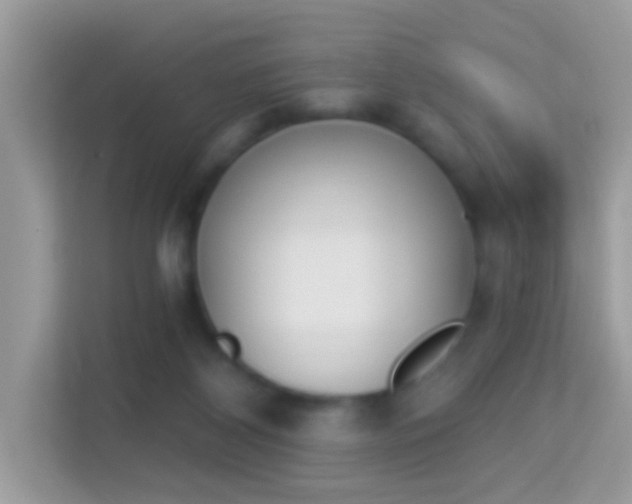 X0000114240116200910091516