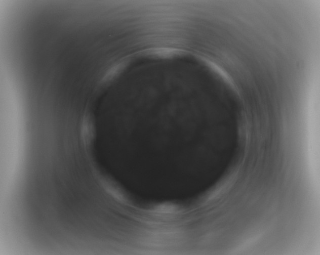X0000114240119200910091516