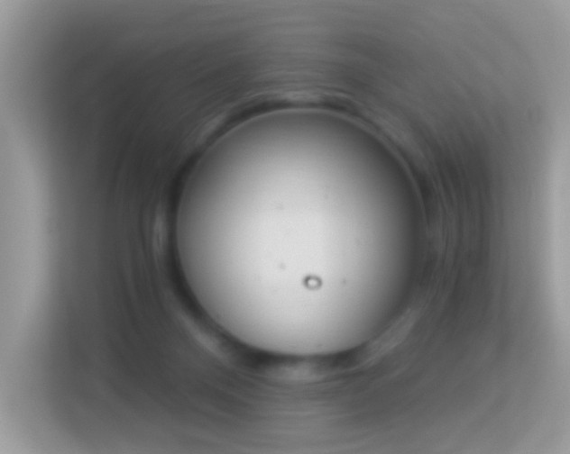 X0000114240120200910091516