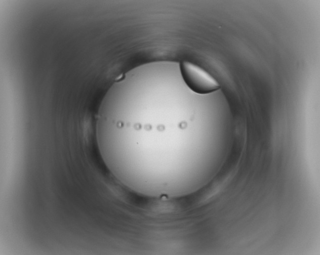 X0000114240127200910091516