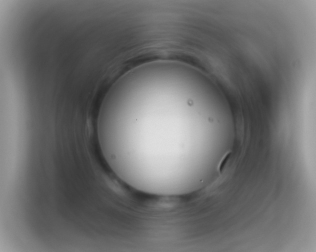 X0000114240128200910091516