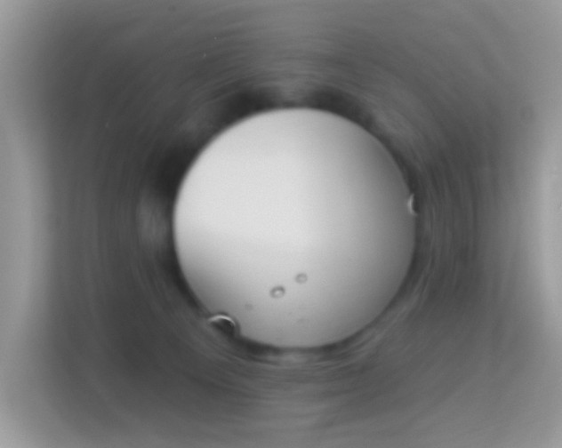 X0000114240129200910091516