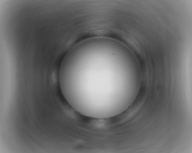 X0000114240131200910091516
