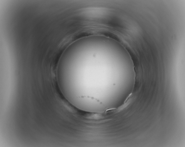 X0000114240140200910091516