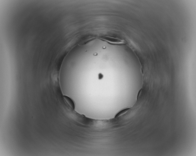 X0000114240141200910091516
