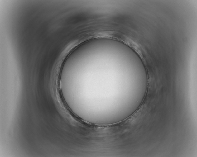 X0000114240145200910091515