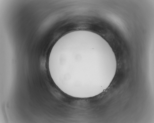 X0000114240146200910091515