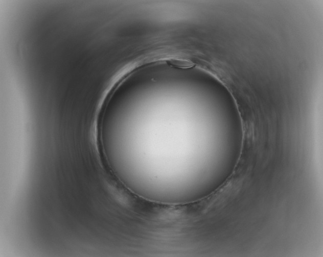 X0000114240148200910091515