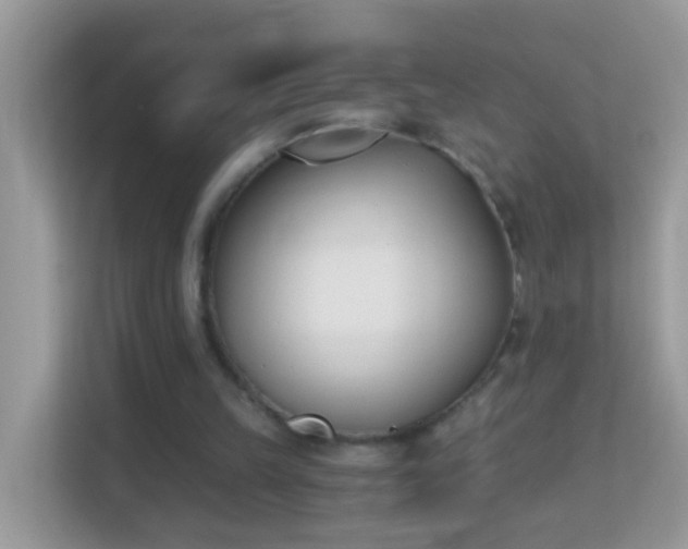 X0000114240149200910091515