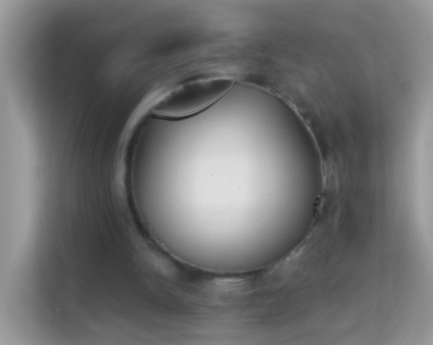 X0000114240150200910091515
