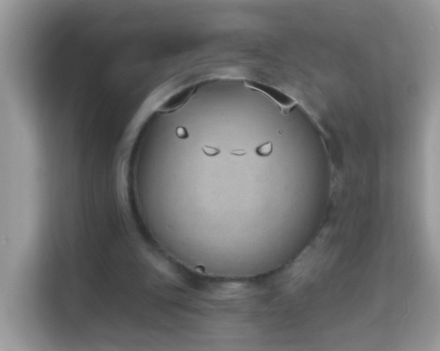 X0000114240151200910091515