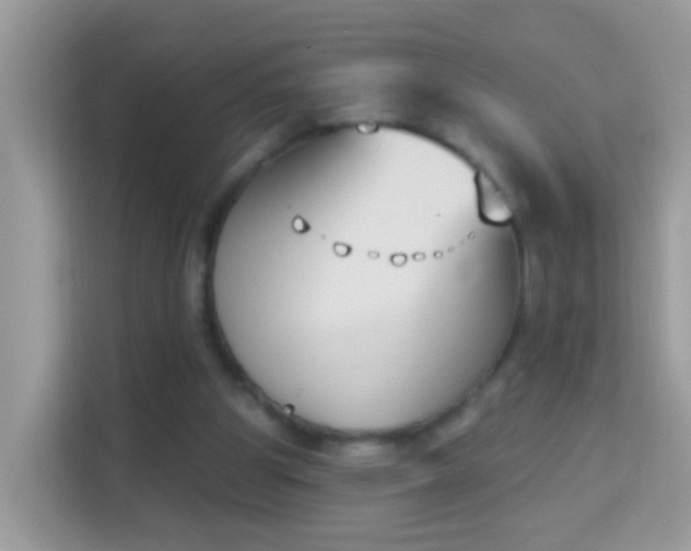 X0000114240153200910091515