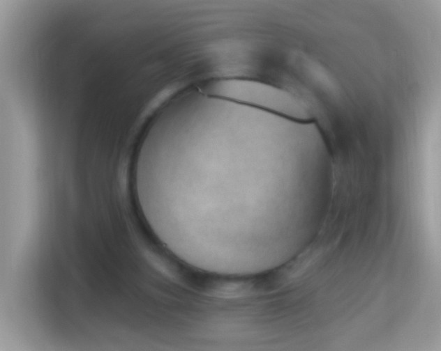 X0000114240155200910091515