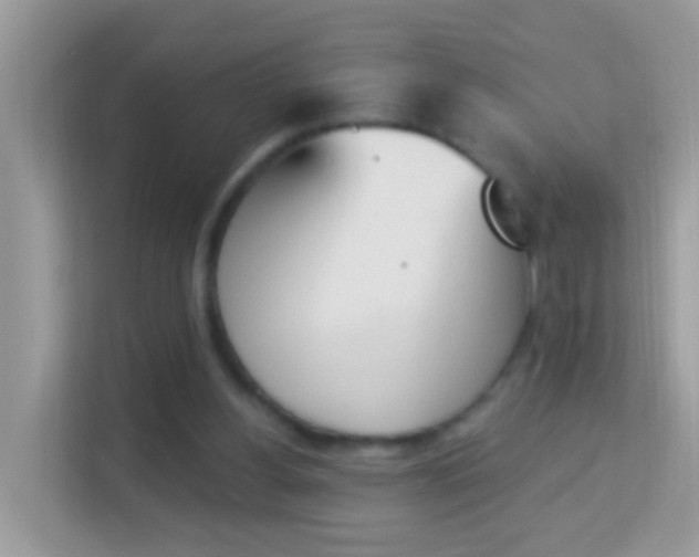 X0000114240156200910091515