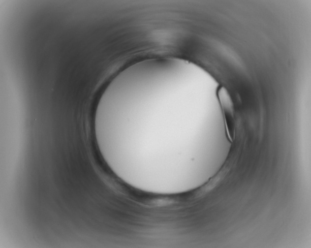 X0000114240158200910091515