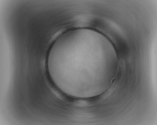 X0000114240159200910091515
