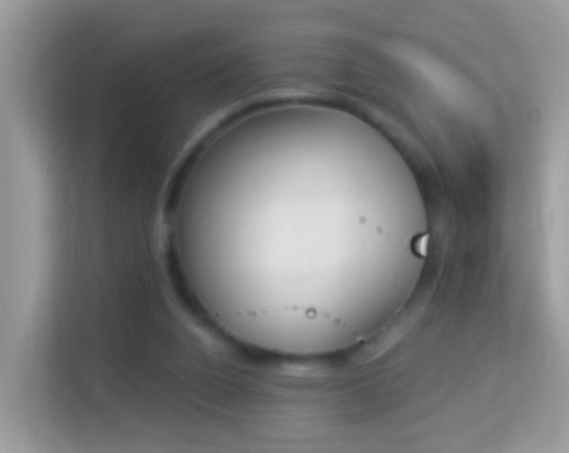X0000114240160200910091516