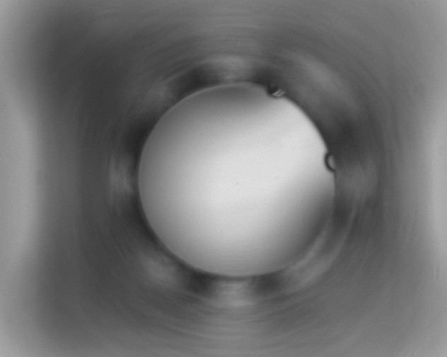 X0000114240170200910091516