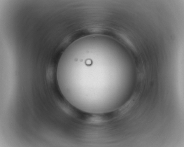 X0000114240171200910091516