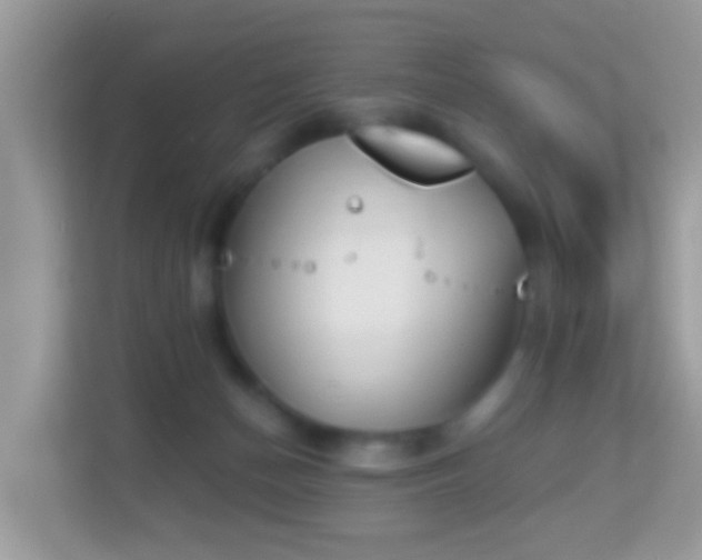 X0000114240174200910091516
