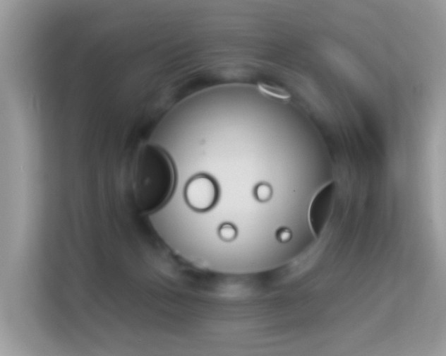 X0000114240175200910091516