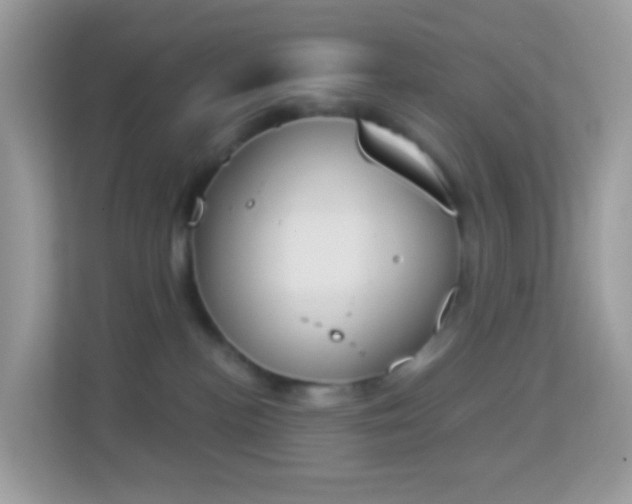 X0000114240188200910091516